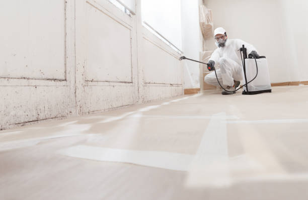 24/7 Emergency Mold Removal experts in New Hill, NC