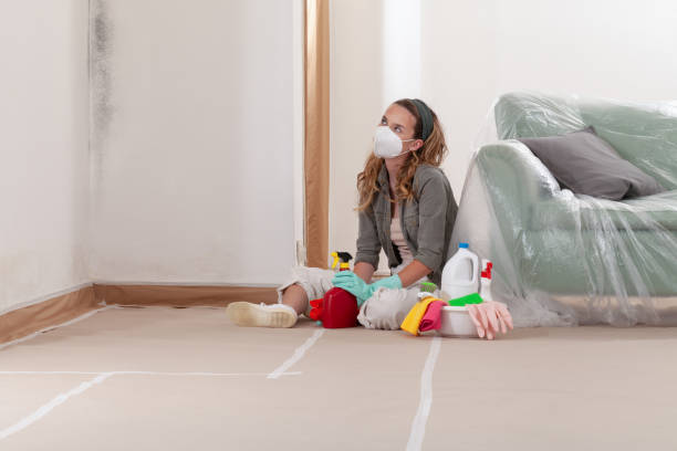 Reliable Mold Removal contractor in New Hill, NC by Mold Remediation HQ